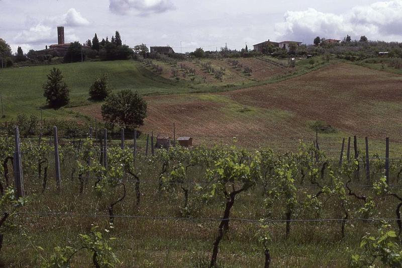 Italy 99 Tuscany.jpg